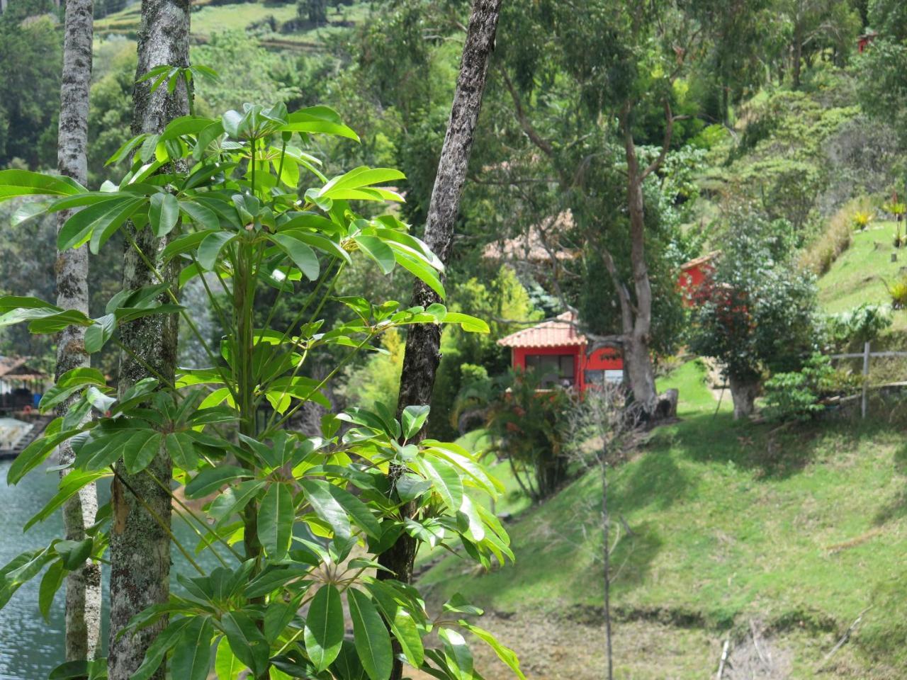 Ecolodge Bahia Del Penon Guatapé Extérieur photo